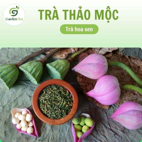  Ảnh này có hình ảnh của Trà thảo mộc với thành phần chính là Trà hoa sen từ thương hiệu Garden Tea. Trong ảnh, có các thành phần tự nhiên của hoa sen như búp sen hồng, quả sen, hạt sen tươi, và hạt sen khô được bày trí trên một nền lá sen khô. Chữ "TRÀ THẢO MỘC" và "Trà hoa sen" được in nổi bật ở phần trên của ảnh.