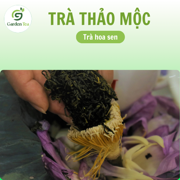 Quảng cáo trà thảo mộc Garden Tea