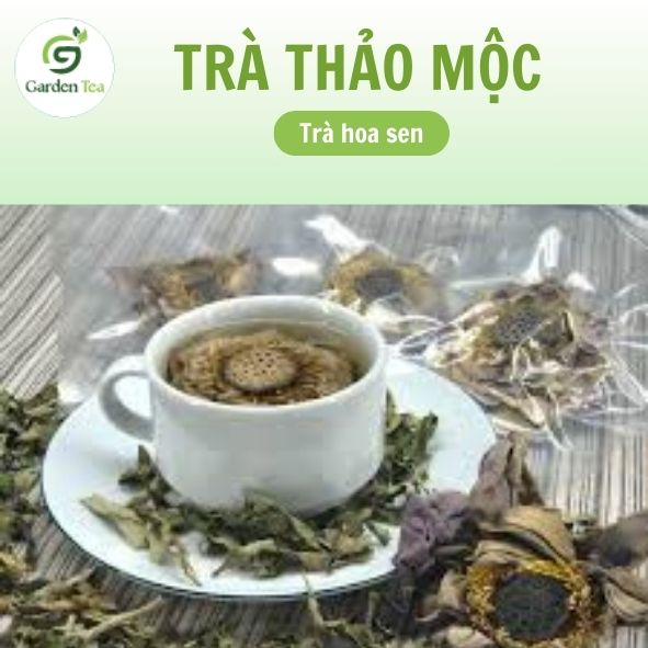 trà hoa sen tuyết