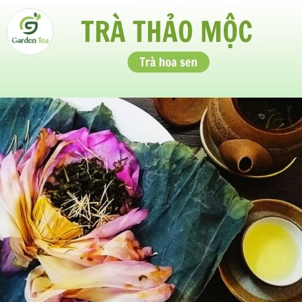 tác dụng của trà hoa sen